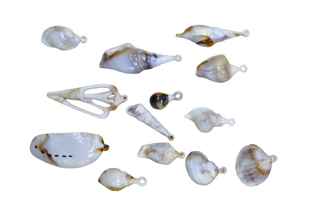 Coastal Mixed Seashell Charms