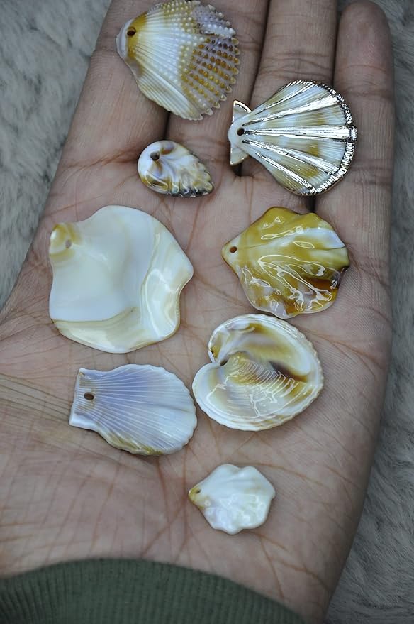 Mixed Seashell Accents