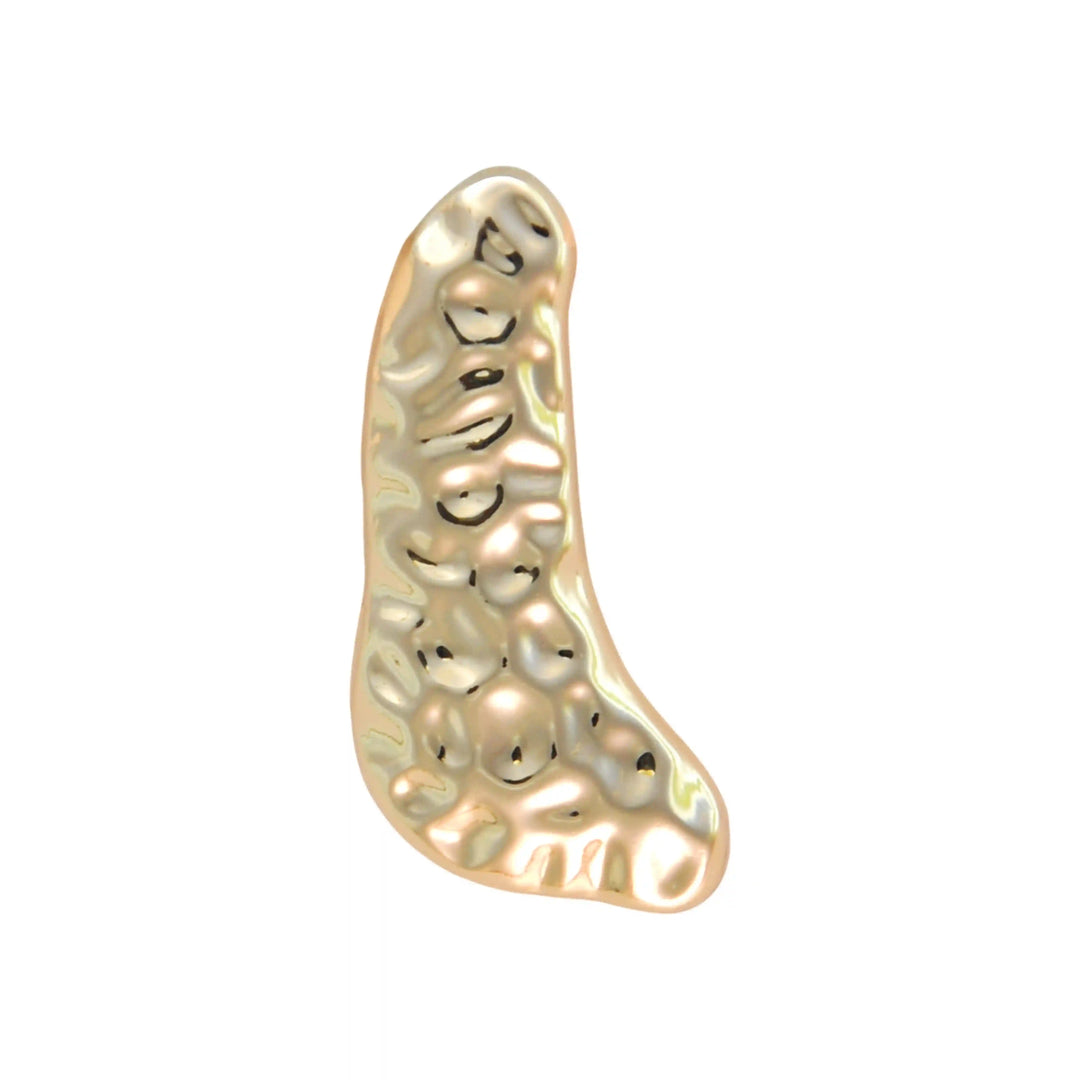 Buy Now Ani Accessories Hammered Crescent Buckle with reflection show in the buckle in a white background.