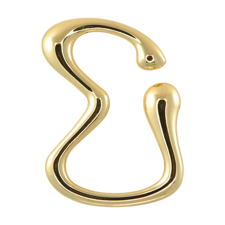 Modern S-Shape Curved Metal Buckle