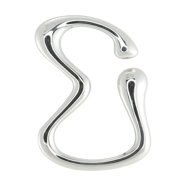 Modern S-Shape Curved Metal Buckle