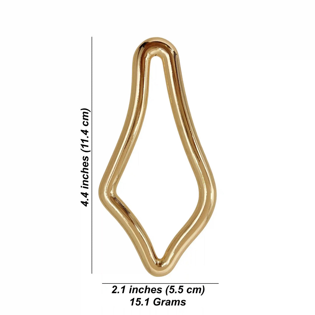Irregular Shape Metal Buckle