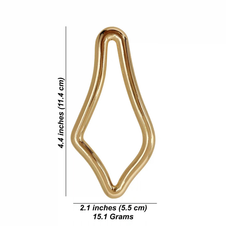 Irregular Shape Metal Buckle