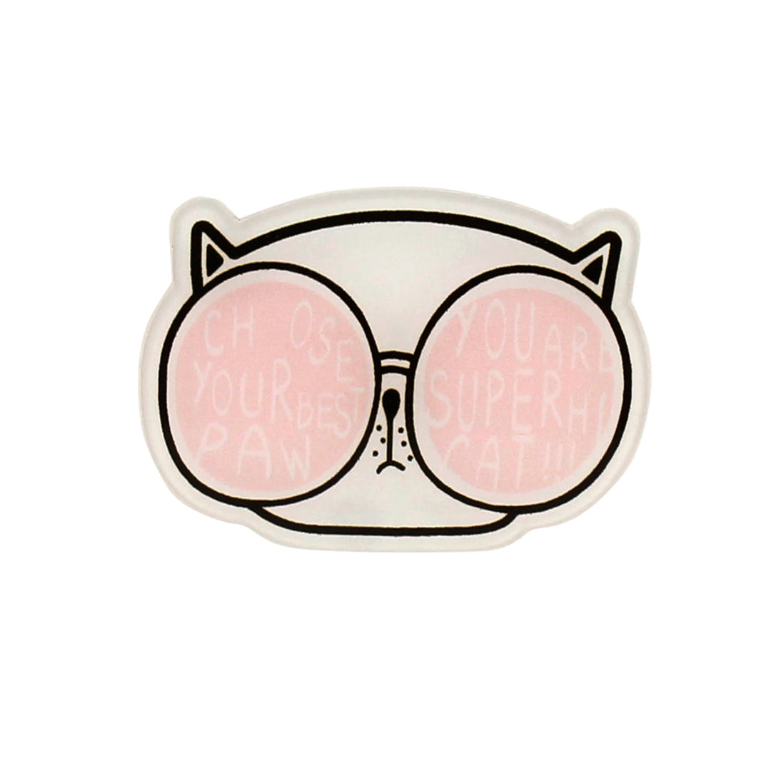 Acrylic Paw Cat Pin Brooch