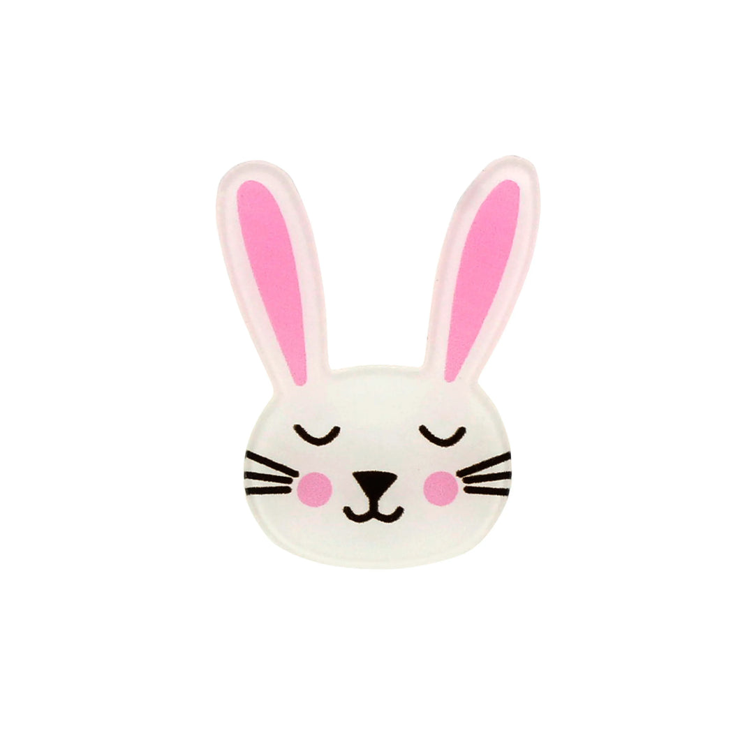 Acrylic Duel Bunny Brooch
