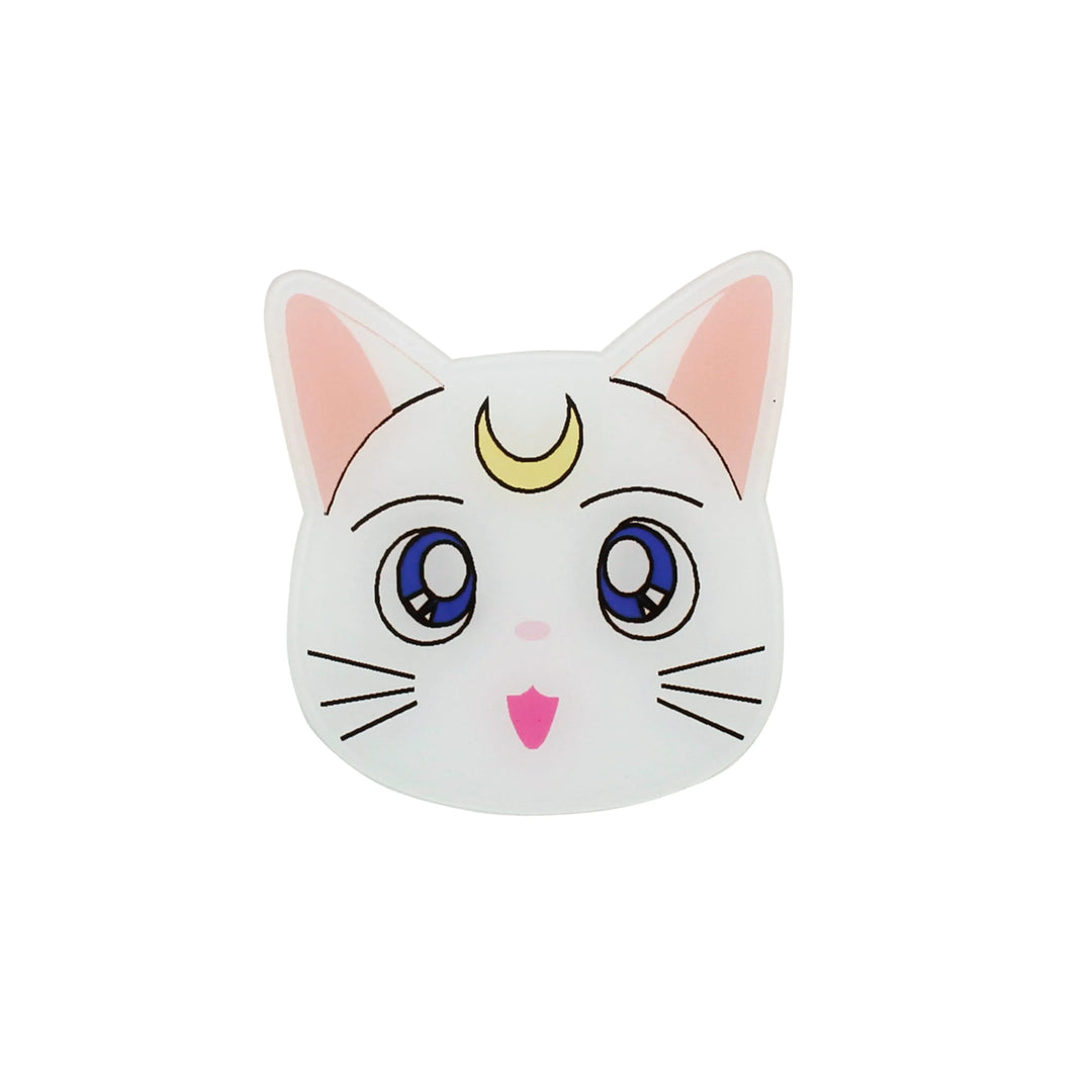 Moon Cat Brooch Pin