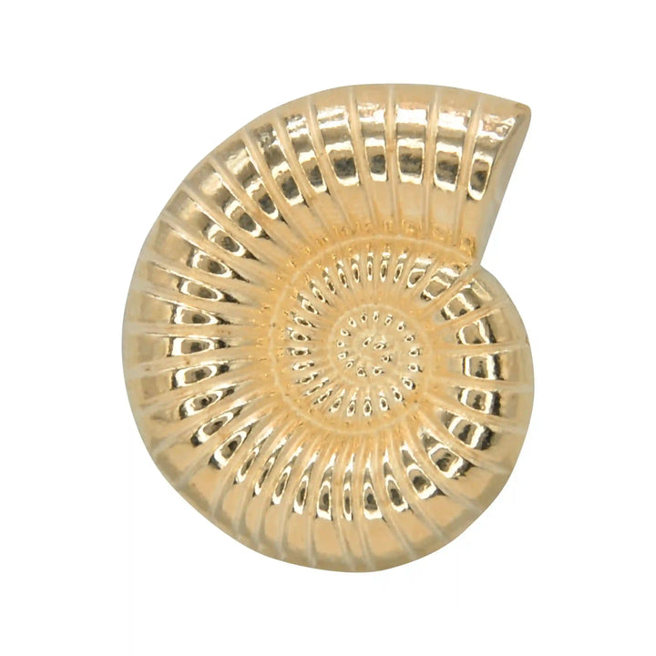 Sea Shell Metal Buttons