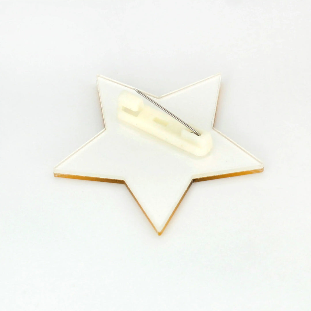 Winking Star Brooch