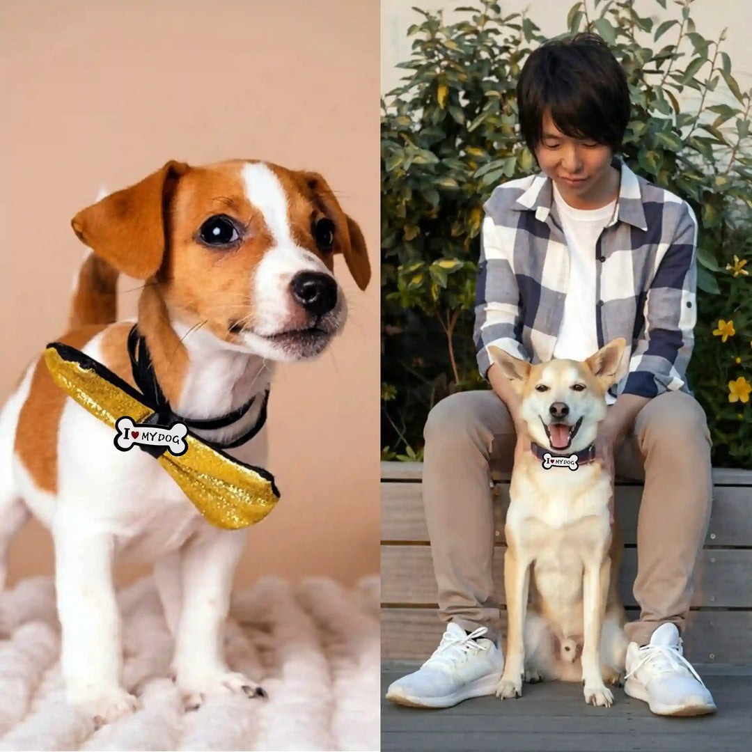 I Love My Dog Brooch Pins