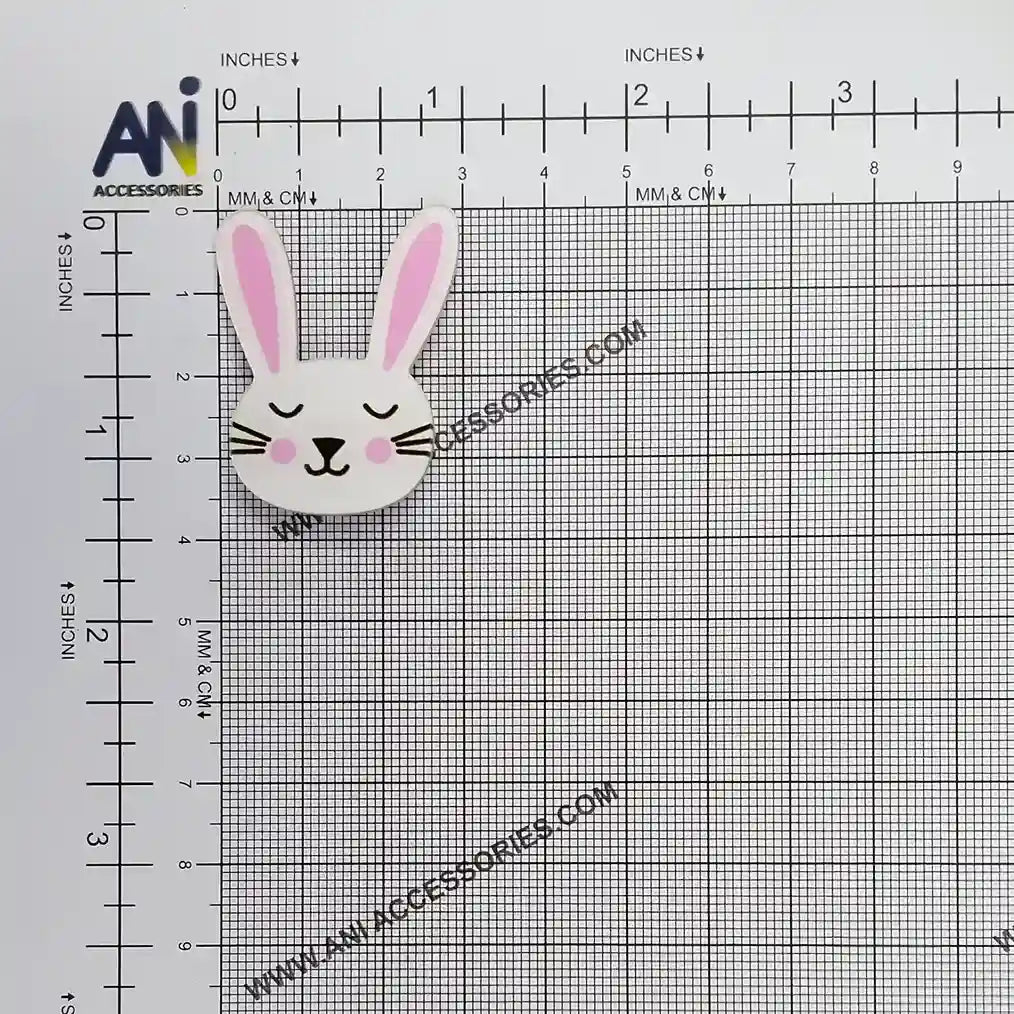 Acrylic Duel Bunny Brooch