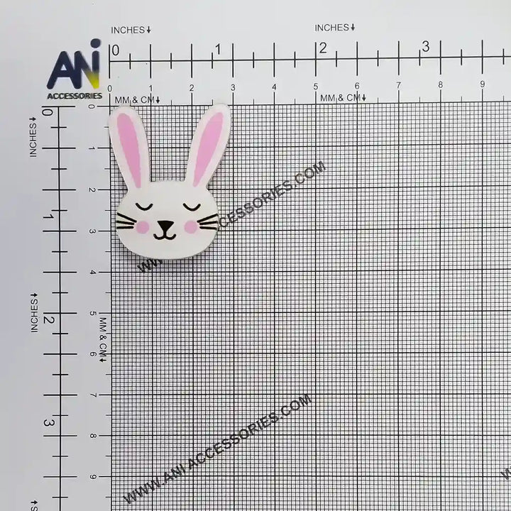 Acrylic Duel Bunny Brooch