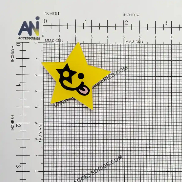 Winking Star Brooch