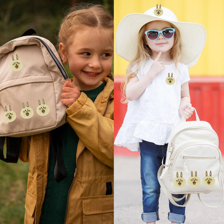 Happy Hoppy Acrylic Bunny Brooch Pin