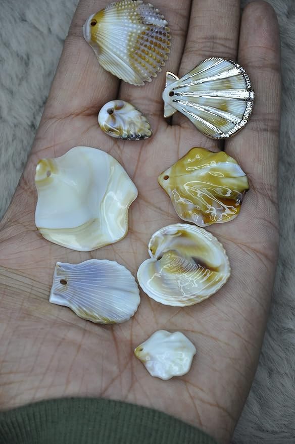 Mixed Seashell Accents