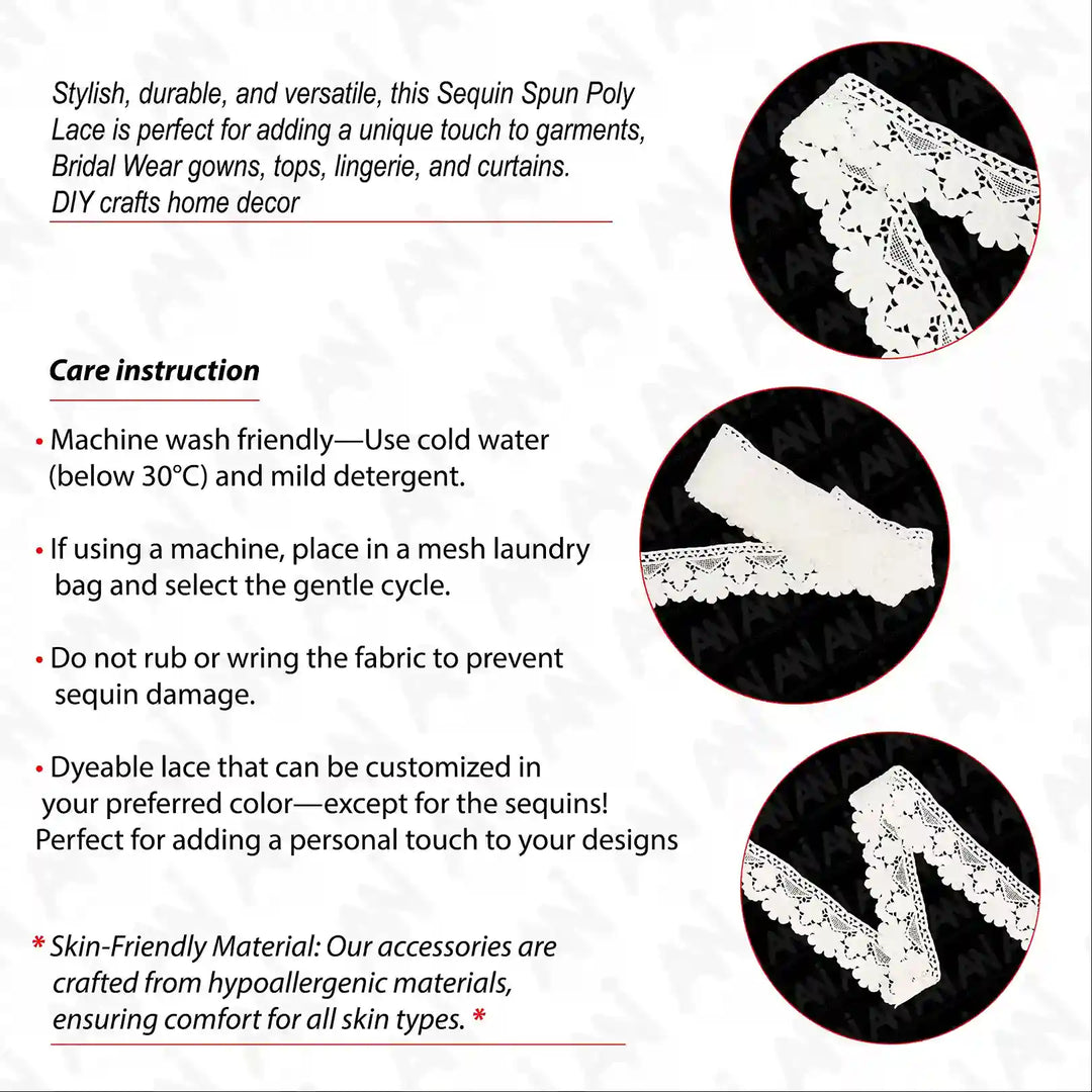 Point de Gaze Design Lace Trim | 2 Meter