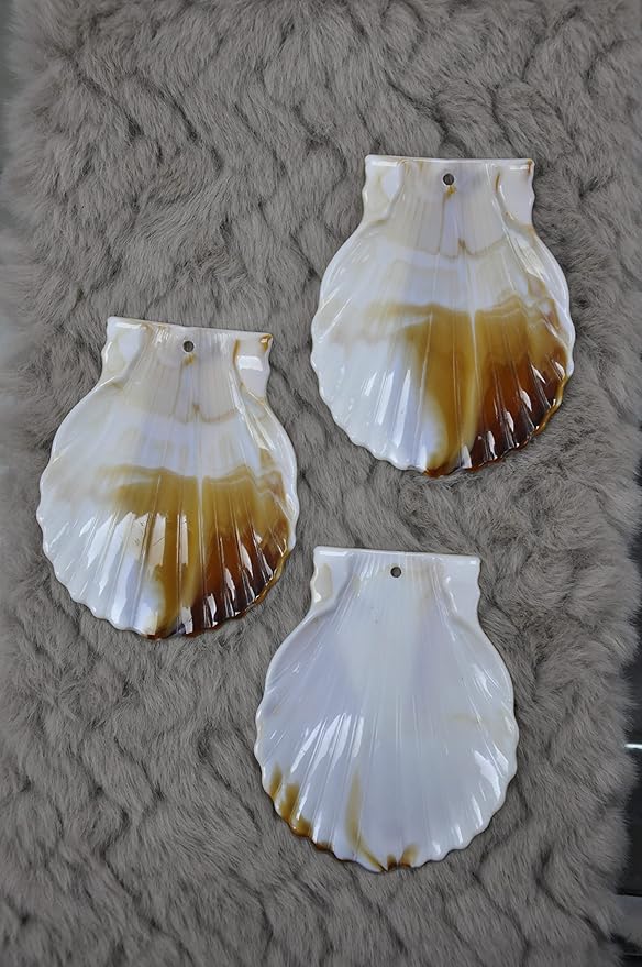 Ocean Oasis Sea Shell