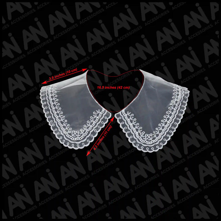 Stylish Border Neck Collar