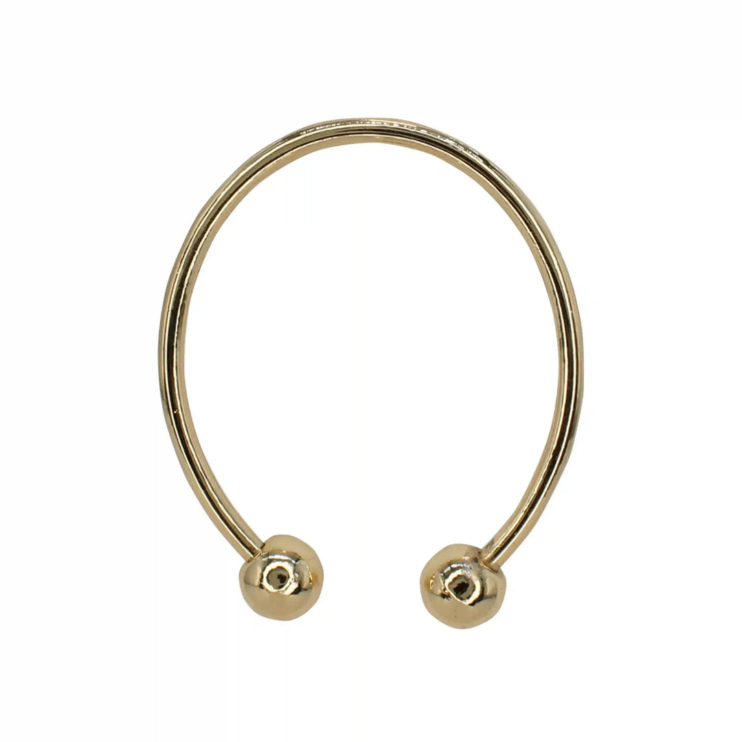 Buy now Ani Accessories Classic Oval  Gold Metal Buckle in the white background to show the reflection of the buckle.