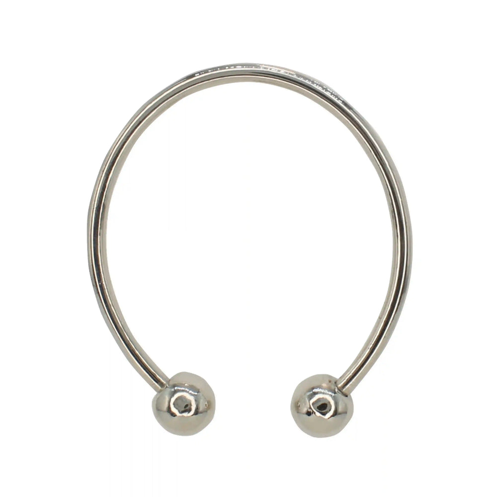 Buy now Ani Accessories Classic Oval Silver Metal Buckle in the white background to show the reflection of the buckle.