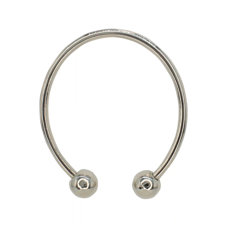 Buy now Ani Accessories Classic Oval Silver Metal Buckle in the white background to show the reflection of the buckle.