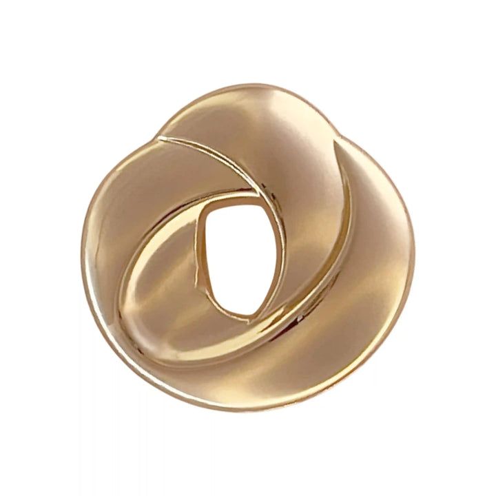 Buy Now Ani Accessories Loop Inspire Buckle  zooming image with reflection in the  white background.