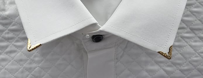 Ani Accessories | Zooming image of Vintage Collar Tips Lapel Pin on the  white shirt collar 