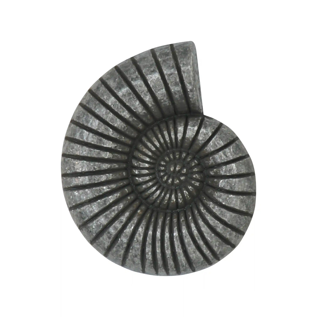 Shell Style Metal Buttons | 34mm(54L)