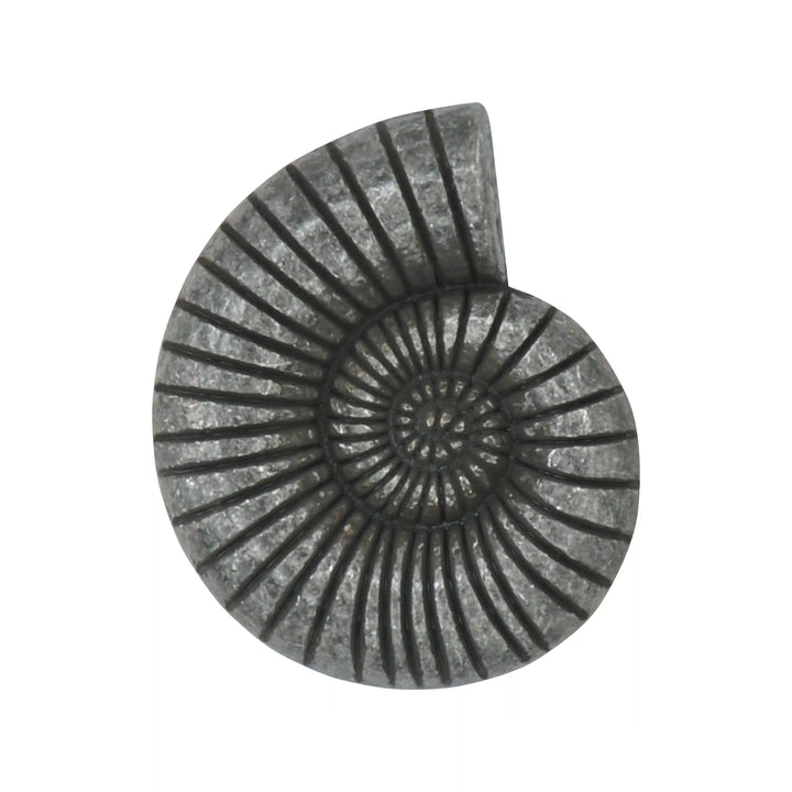 Shell Style Metal Buttons | 34mm(54L)