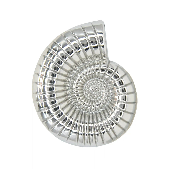 Shell Style Metal Buttons | 34mm(54L)
