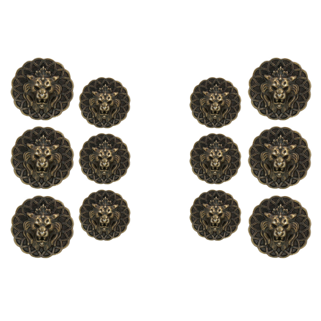 Lion Head Buttons for Clothing and Accessories