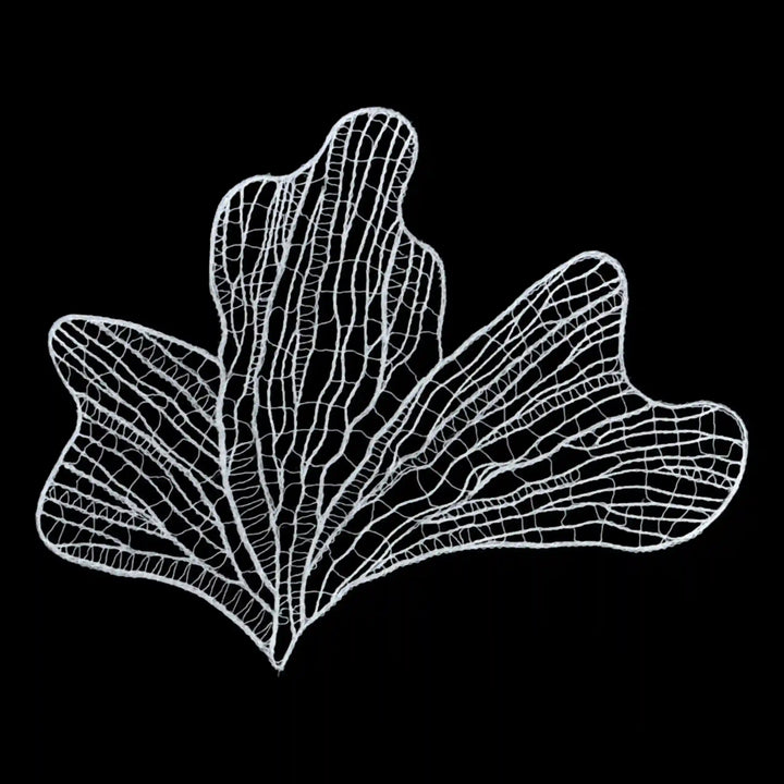 Ethereal Fan Sew Patch | Set Of 3