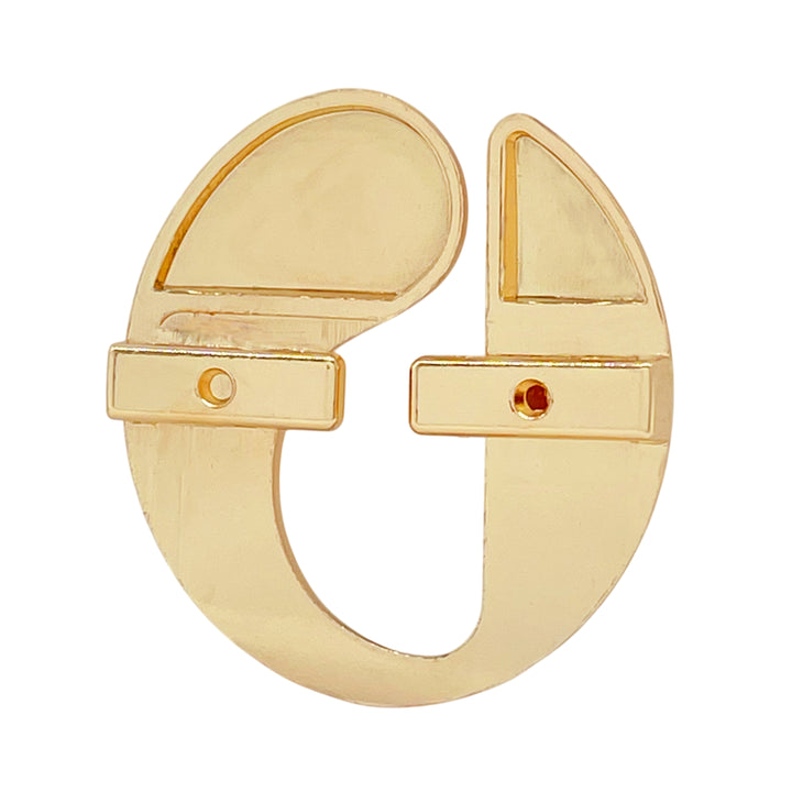 Abstract Shape Buckle