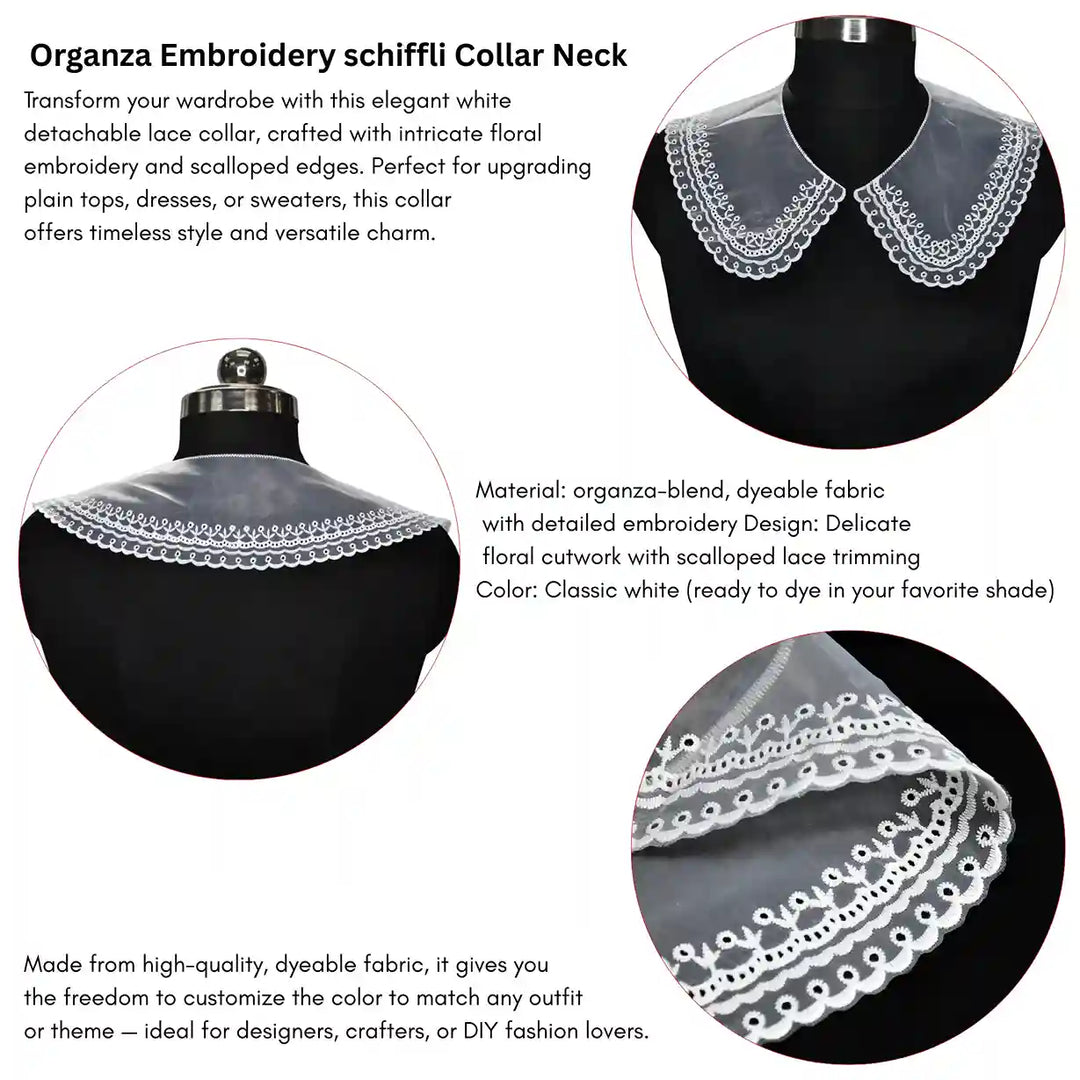 Inforgraphic of Floral border net neck collar by Ani Accessories suitable for festive wear, gowns and designer outfits.