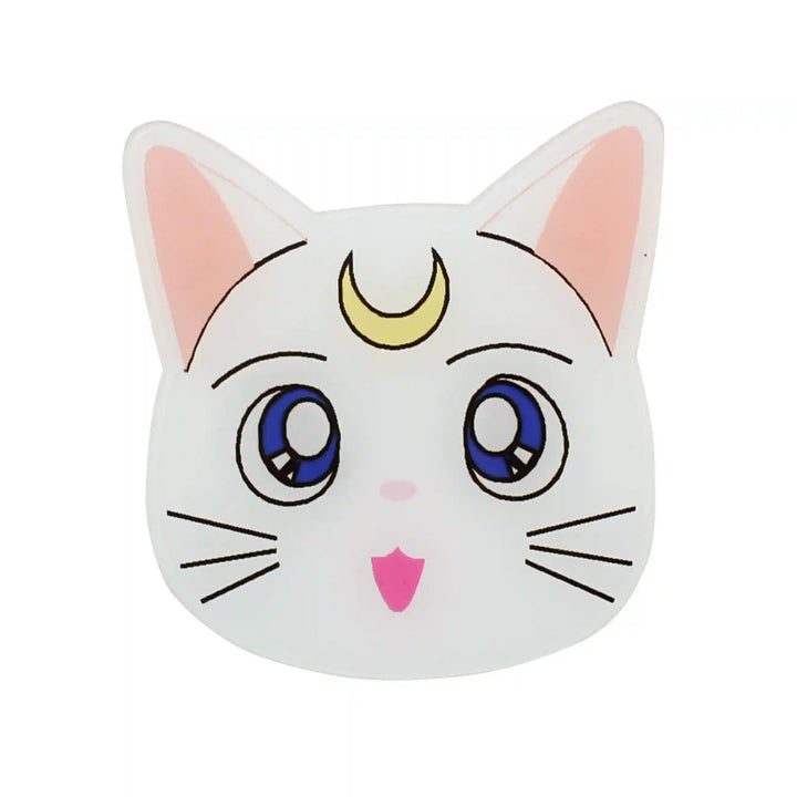 Moon Cat Brooch Pin