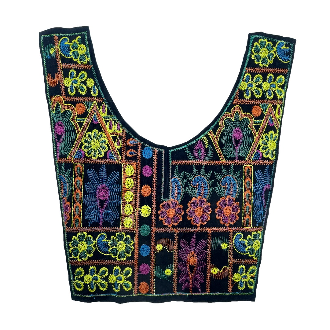 Vibrant Multicolor Embroidered Neckline