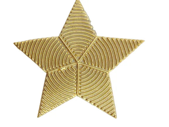 Star Zardosi inspired iron on patch by Ani Accessories for shirts, T-shirts, denim & more
