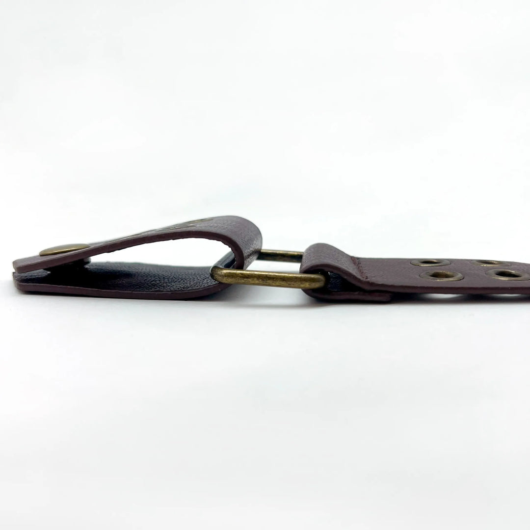 Double Holed Pin Buckle