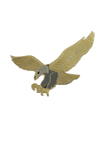 Ani Accessories eagle iron-on patch featuring a bold bird design, perfect for apparel customization and craft projects